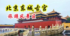 男女艹逼视频免费看中国北京-东城古宫旅游风景区